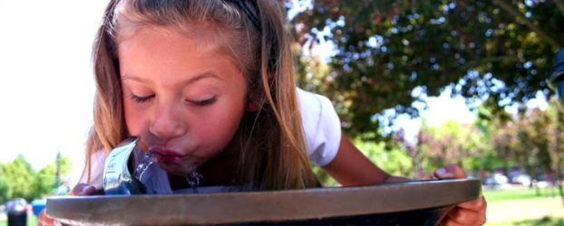 Drinking Fountain